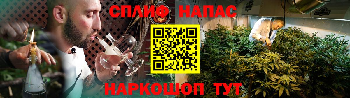 Конопля гибрид Ишим