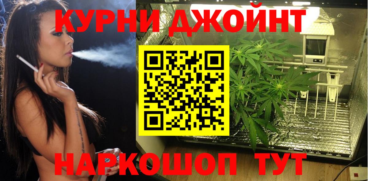 Конопля LSD WEED  Канабис MAZAR  Вход с VPN  Шишки марихуана план  Ишим  Каннабис планчик 